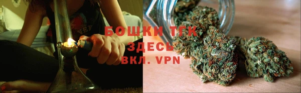 a pvp Ельня