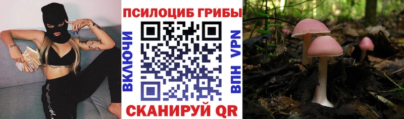 Псилоцибиновые грибы Cubensis  Купить закладки  Сердобск 